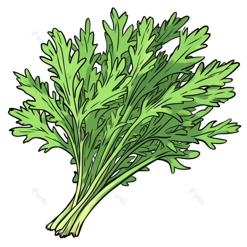 元素图片,蔬菜元素,植物PNG,绿色食品免抠素材